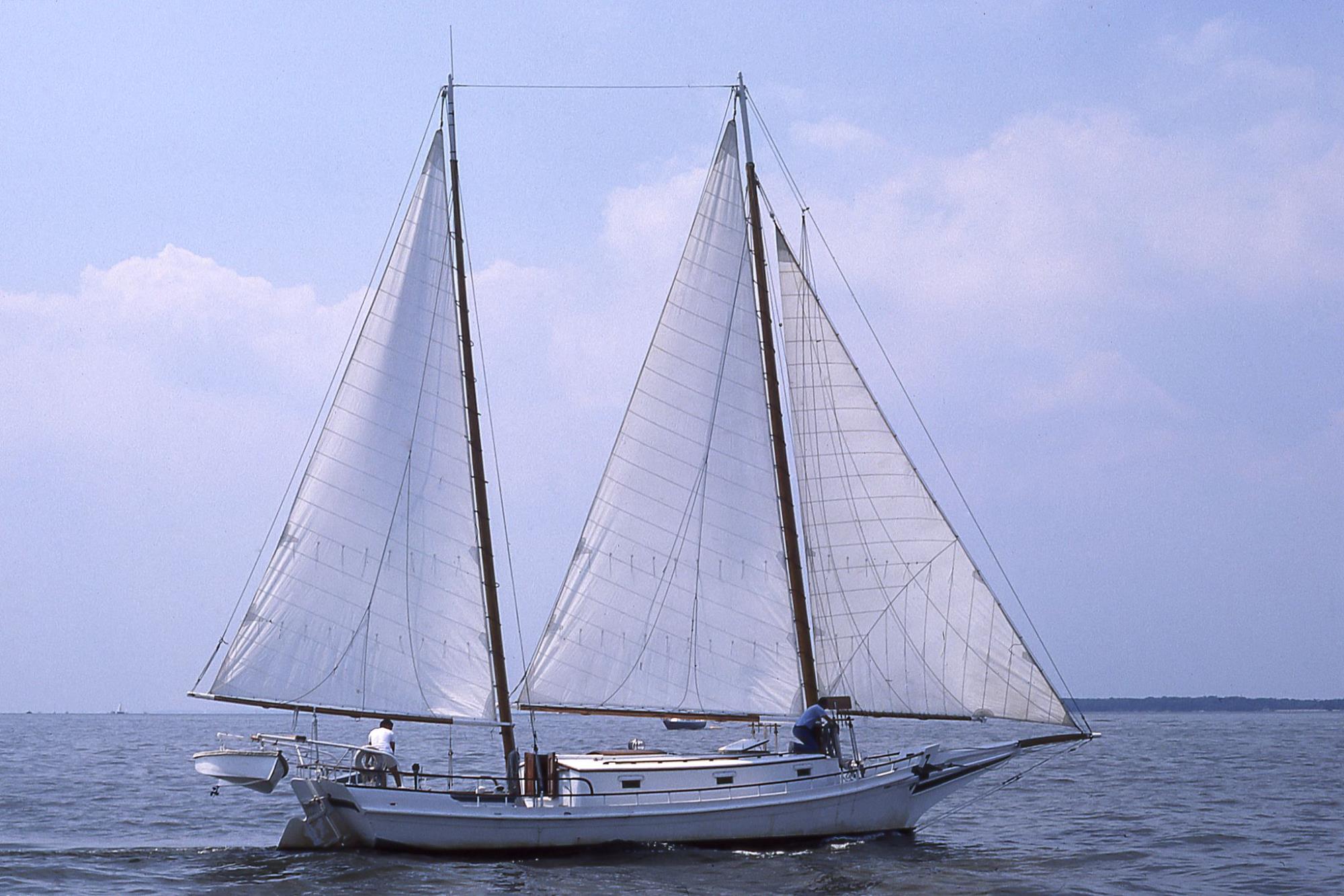 CBMM catalog image